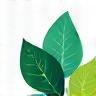Icône écologique éco-responsable